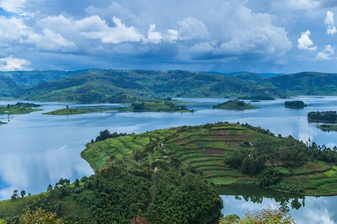 6 Days Uganda Gorilla, Chimps Trekking and Wildlife Safari - Bwindi Gorilla Trekking, how the day is paced and why it matters