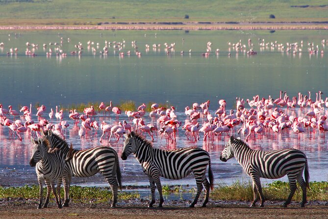 7-Day Private Uganda Gorilla Tracking Safari Tour From Entebbe - Starting In Entebbe: Lake Victoria Nights and Private Pickup