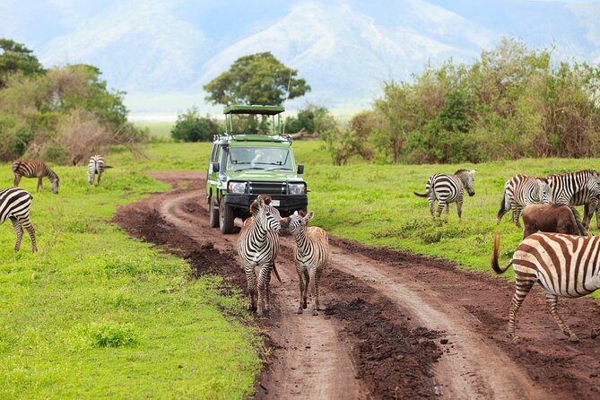 7-Day Private Uganda Gorilla Tracking Safari Tour From Entebbe - Kalinzu Chimp Trek and the Scenic Ishasha Lion Drive to Bwindi
