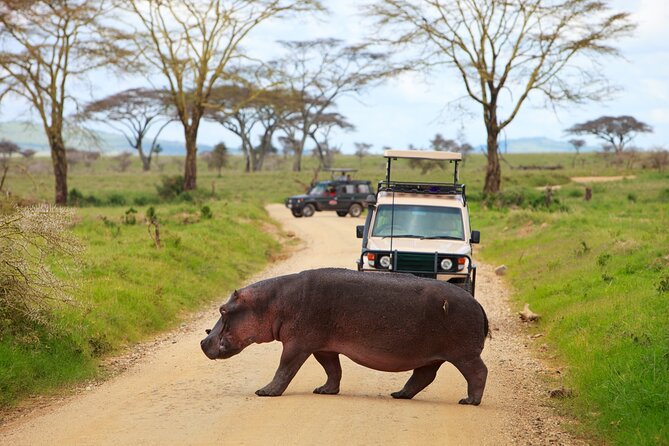 7-Day Private Uganda Gorilla Tracking Safari Tour From Entebbe - Lake Mburo National Park Zebra Country and Two-Hour Boat Cruise