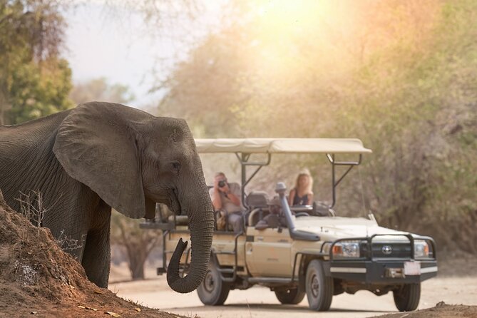 7-Day Private Uganda Gorilla Tracking Safari Tour From Entebbe - Getting Back to Entebbe: A Flexible Finish Day