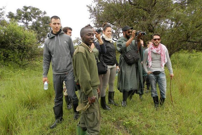 7-Day Uganda Adventure Safari - Midrange Lodges - Day 3: Murchison Falls National Park Game Drive Plus Boat Time at the Falls