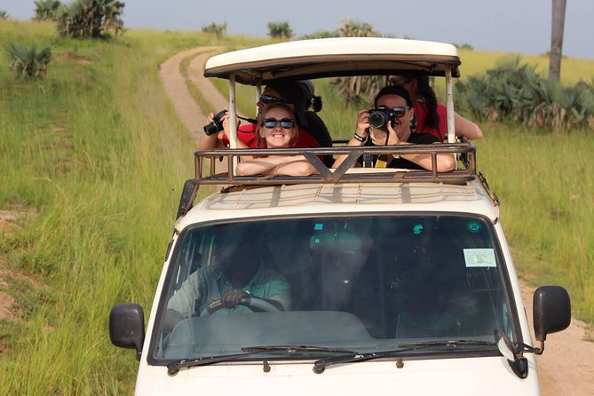 7-Day Uganda Adventure Safari - Midrange Lodges - Day 5: Queen Elizabeth National Park and the Kazinga Channel Boat Safari