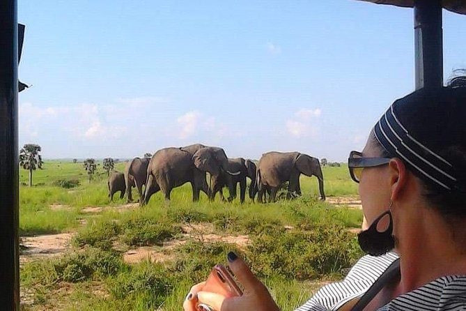 7-Day Uganda Adventure Safari - Midrange Lodges - Day 1: Entebbe Arrival, Kampala Overnight, and Meeting Your Group