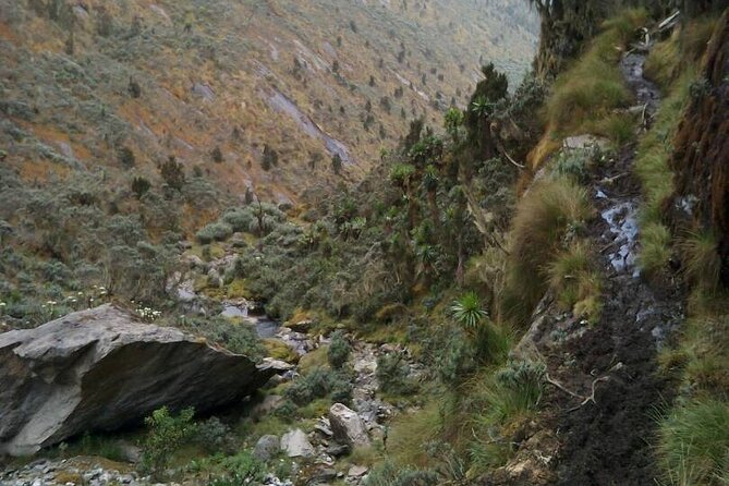 7 Days Fort Portal Culture Tour Western Uganda - Mini hikes near Rwenzori, crater lakes, and Kyaninga depth facts