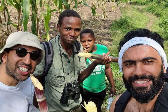 7 Days Fort Portal Culture Tour Western Uganda - Kibale National Park: chimp tracking and Bigodi community time