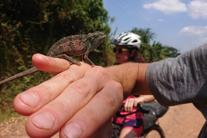 7 Hours Guided Cycling Tour to Sezibwa Waterfalls - Sezibwa Falls stop: the Buganda connection, plus time to recover