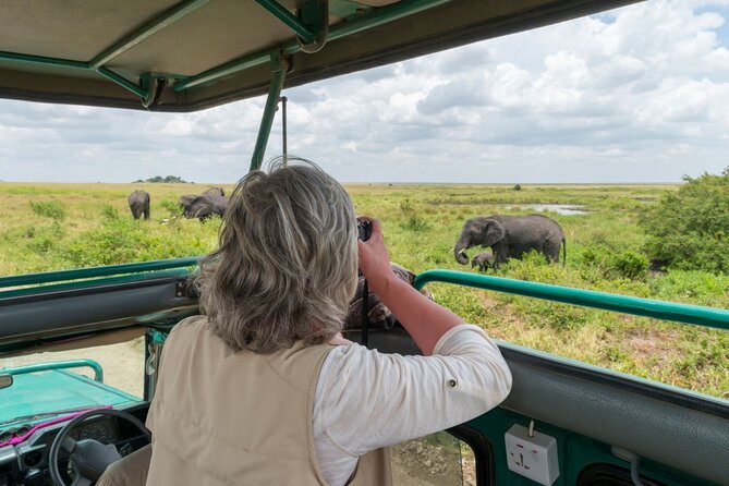 8-Day Classic Uganda Primates & Wildlife Tour - The road to Bwindi: tea hills, ridge lodge views, and Virunga volcano hints