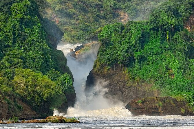8-Day Murchison Falls, Chimp and Epic Gorilla Trekking - Murchison Falls: game drive country, then the Nile by boat
