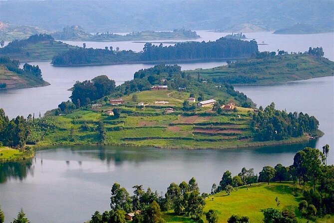 8-Day Murchison Falls, Chimp and Epic Gorilla Trekking - The Nile Delta boat safari break near Lake Albert