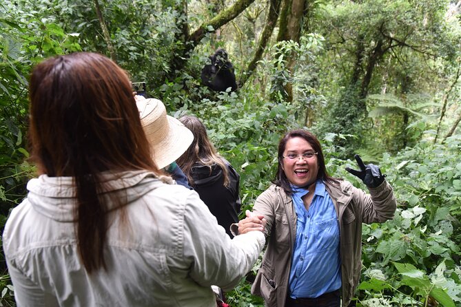 8-Day Private Uganda Big 5 Luxury Safari with Gorillas and Chimps - Kibale and chimpanzee tracking near Kanyachu: rules, briefing, and real contact