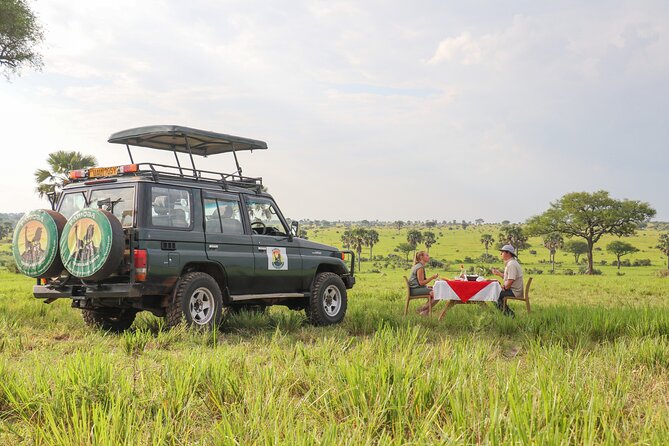 8-Day Private Uganda Big 5 Luxury Safari with Gorillas and Chimps - Bwindi gorilla tracking: where time slows down and the jungle calls the shots