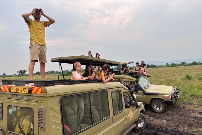 9 Days Uganda Wildlife Safaris, Gorilla Trekking & Hiking - Kibale Forest chimp tracking: your first real forest quest