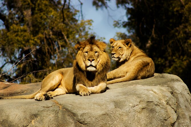 9 Days Uganda Wildlife Safaris, Gorilla Trekking & Hiking - Queen Elizabeth National Park: game drives plus Kazinga Channel
