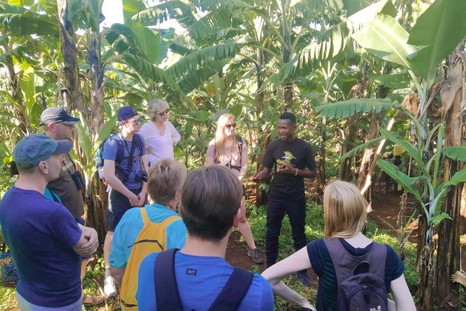 Coffee Tour Experience - Who should book this coffee tour, and who may want a different plan