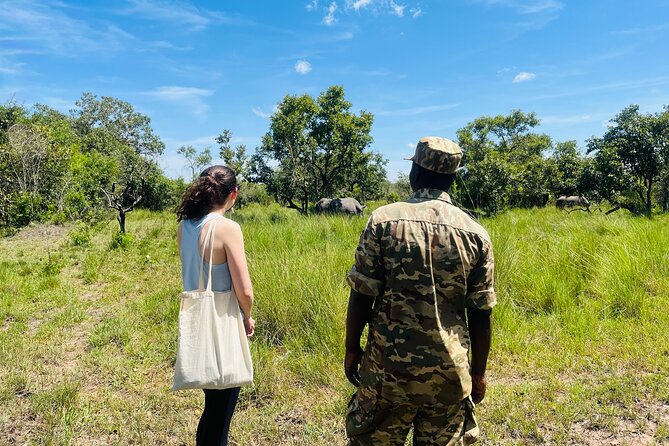 Day Tour Of Ziwa Rhino Sanctuary and Wildlife Ranch - ZIWA RHINO TREKKING - Ziwa Rhino Trekking From Kampala: The Smart Way to See Rhinos