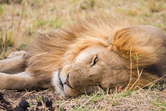 Eight days cultural and wildlife tour in Uganda - Kidepo day 6: the 6 to 7 hour drive and your first wildlife chances