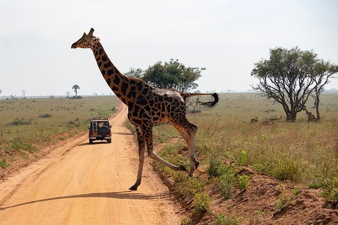 Entebbe Airport pickup (Entebbe - Kampala) reliable 24/7 transfer - FAQ