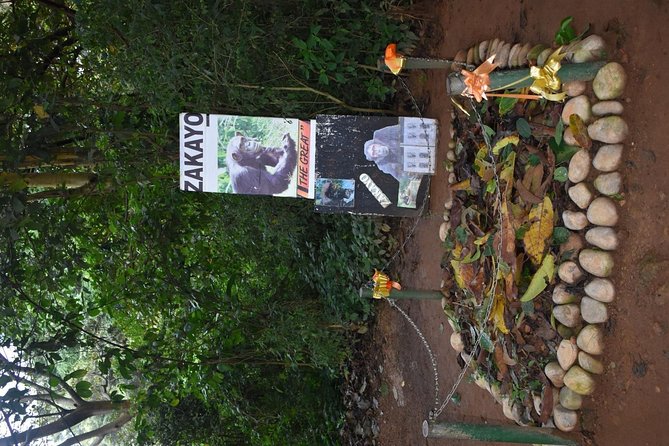 Entebbe Eco Tour - Full Day - Lunch in the middle, and why it’s more than a break