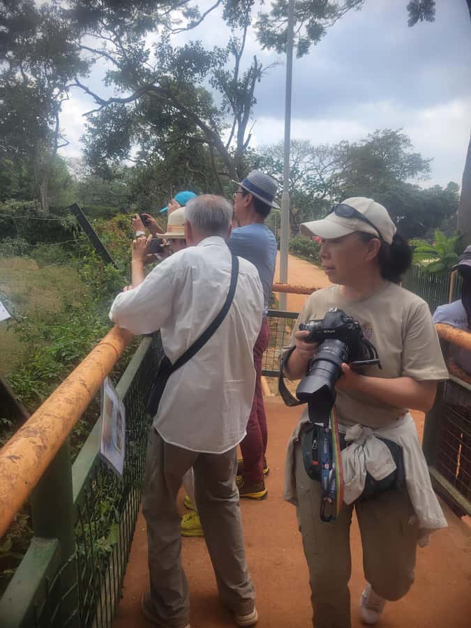 Entebbe: Female-Led Guided Walking Tour - Starting at Victoria Mall, and why that matters for your comfort