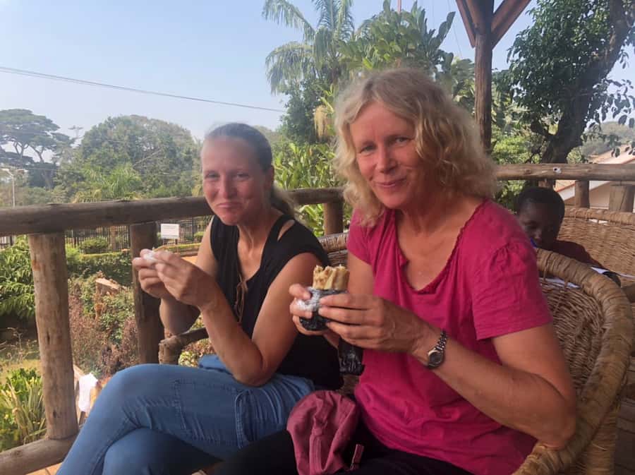 Entebbe: Guided Walking Tour - Chimpanzee conservation at the Ngamba Chimpanzee Trust