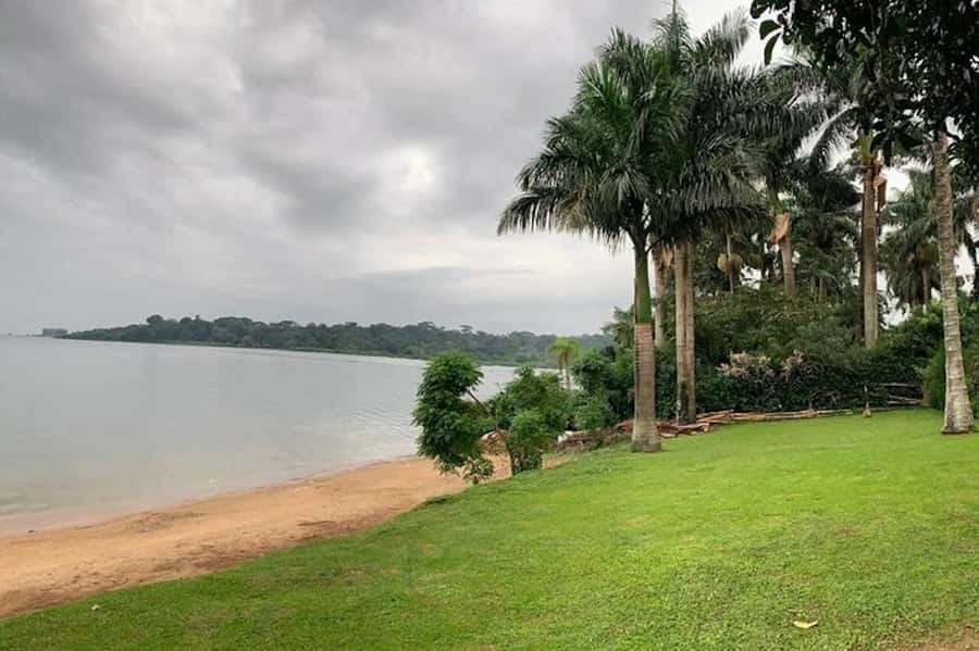 Entebbe: Guided Walking Tour - Market smells, in-season fruit, and why this stop matters