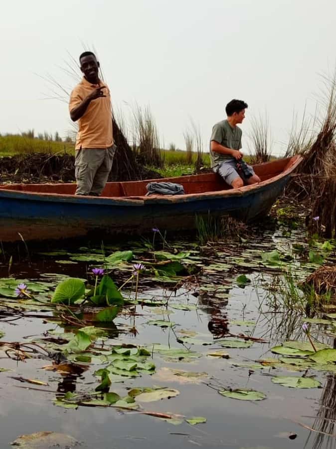 Entebbe: Mabamba Swamp Shoebill Tracking Boat Tour - Price, what’s included, and how to plan your day