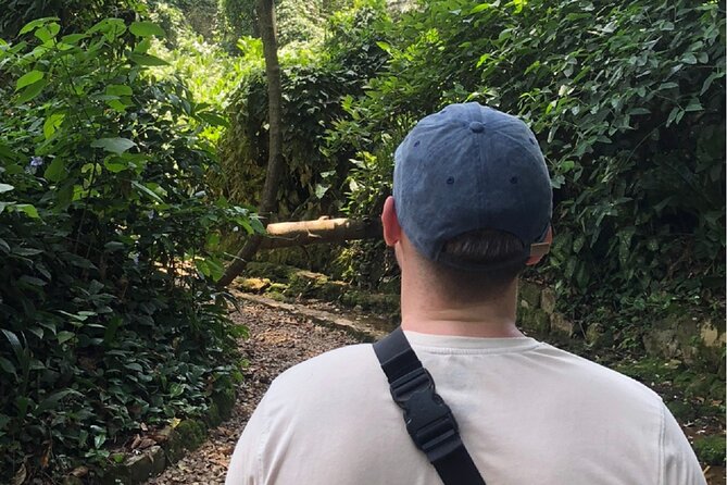 Entebbe Walking Tour (3 Hours) with Zoo and Botanical Gardens Options - Rolex and Street Food: A Snack Stop That Signals Local Life