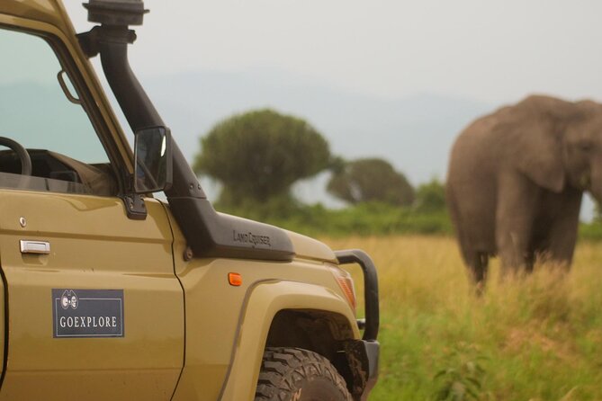 Exploring The Mighty Falls In Uganda - Price and Value: What You Pay For at $790 Per Person