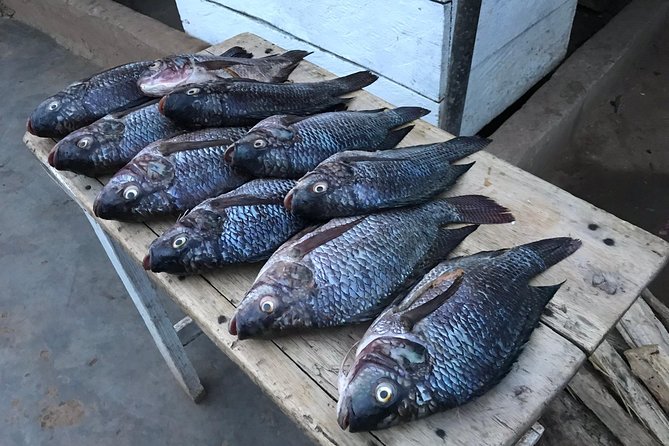 Fishing Village Food Tour & Luwombo Stop - Timing and weather: the two things that can change your plan