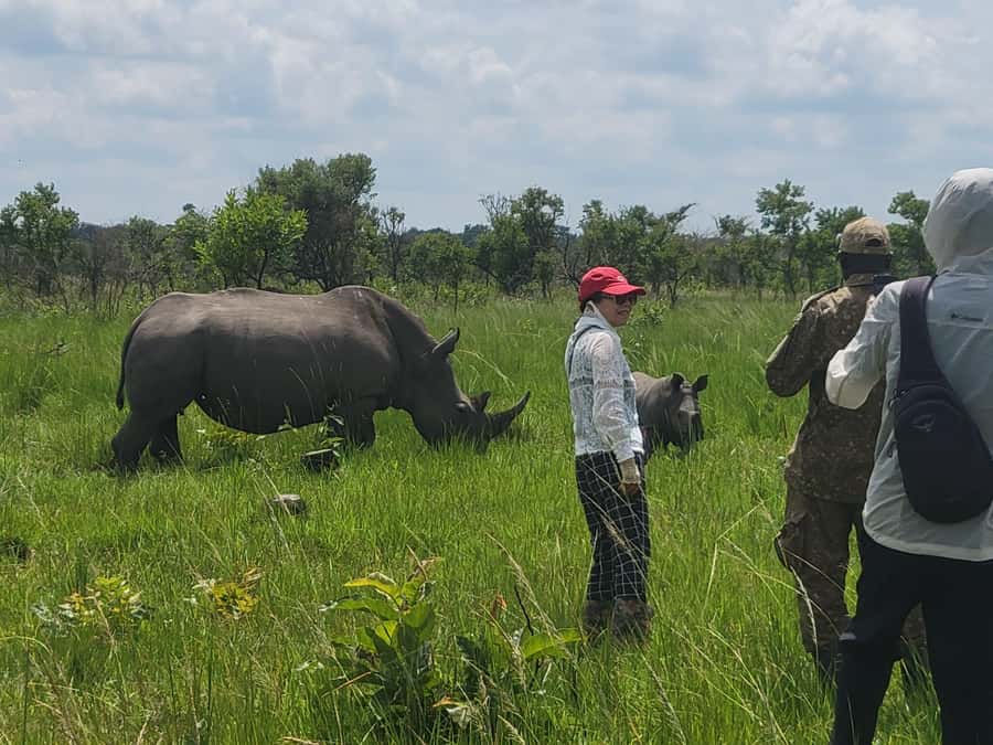From Kampala: Ziwa Rhino Sanctuary Day Tour with Lunch - Price and Value: Is $280 Worth It?