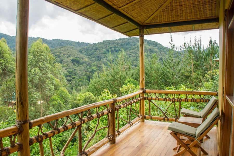 From Kigali: 2-Day Gorilla Trek: Bwindi Nat Park - Kigali to Gorilla Trek in 2 Days, What Makes It Different
