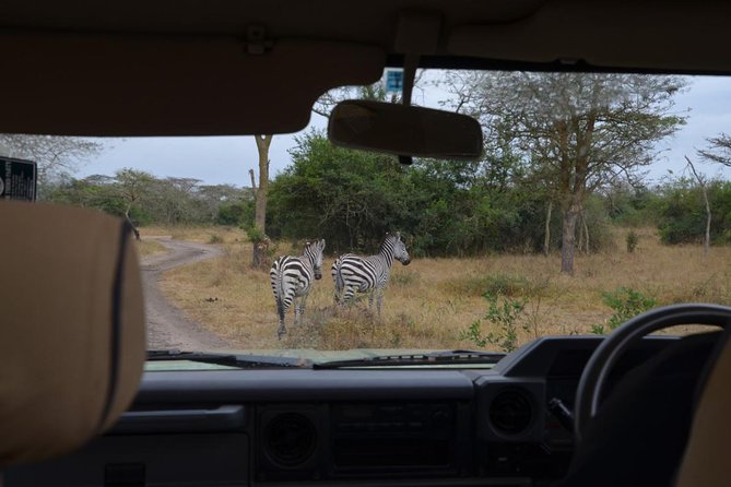 Full-Day Lake Mburo National Park Safari with Boat trip (2 day option available) - The game drive: best odds for giraffes, zebras, and hippos