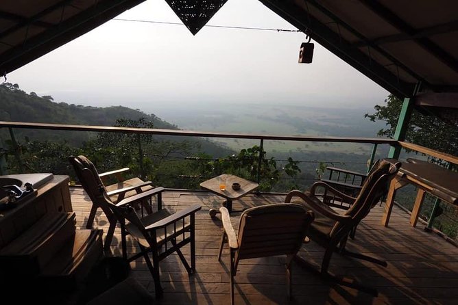 Gorilla and chimp experience holiday - Gorilla and chimp trekking in Uganda, the parts you will actually care about
