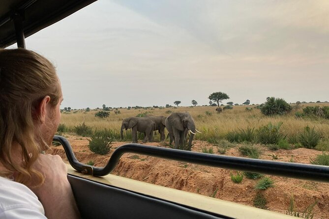 Gorilla & Chimpanzee Trekking in Uganda - 5 Days - Day 1: Queen Elizabeth National Park Transfer, Equator Stop, and Mweya Lodge Views