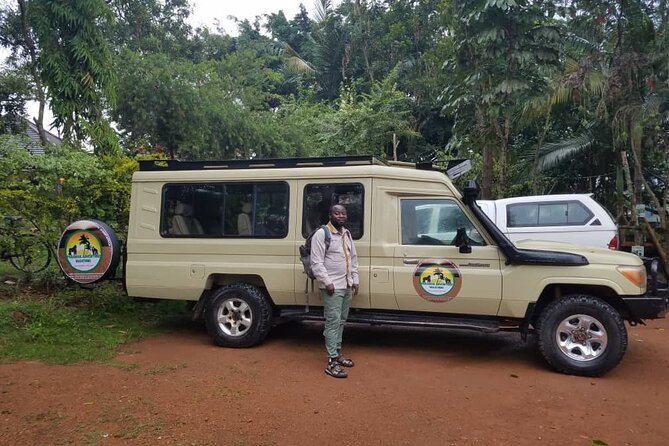 Gorilla & Chimpanzee Trekking in Uganda - 5 Days - Day 2: Kalinzu Chimp Trekking and a Kazinga Channel Boat Cruise