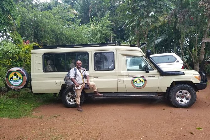Gorilla & Chimpanzee Trekking in Uganda - 5 Days - Day 3: Ishasha Tree-Climbing Lions Then the Road to Bwindi
