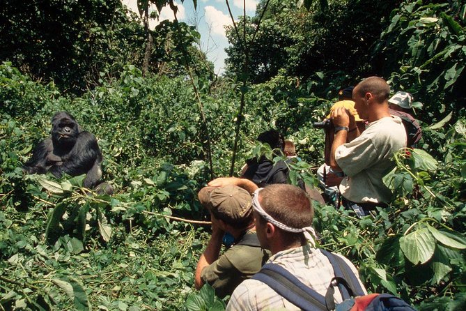 Gorilla Tracking & Batwa Culture Experience - Price and Value at $2,840 Per Person