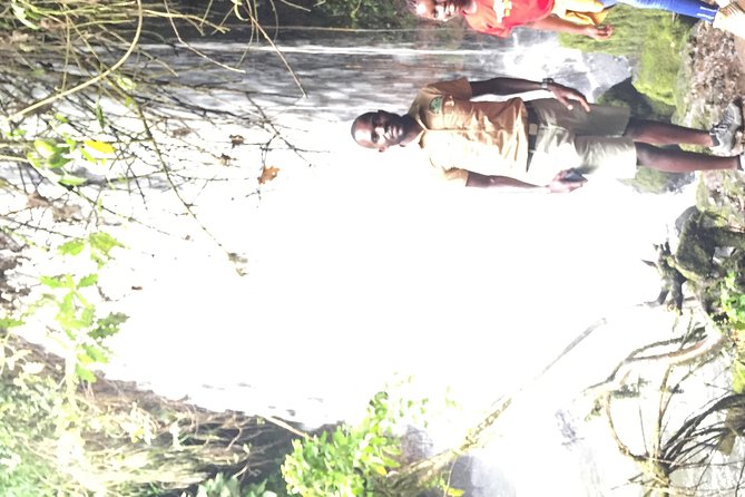 Gorilla trekking - Guide service and the small details that affect your day