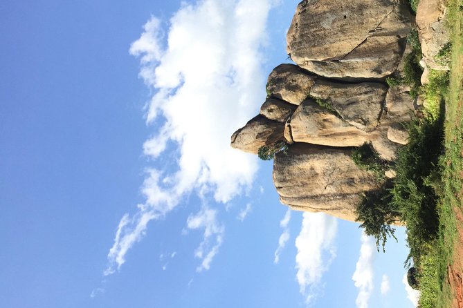Gorilla trekking - What the 3-day schedule means for your energy and expectations
