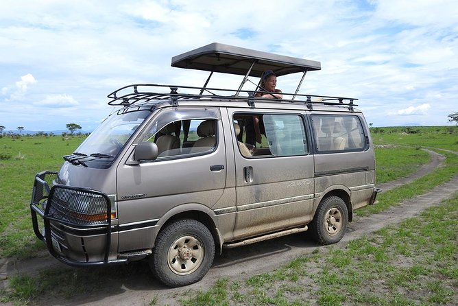 Guided Safari to Murchison Falls from Masindi - Nile waterfall cruise: where the mist and thunder do the talking