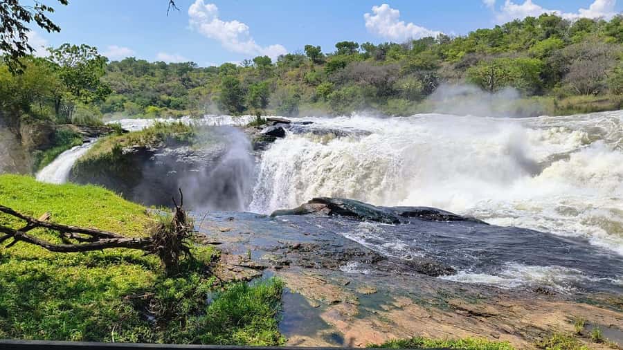 Kampala: 3-Day Murchison Falls Safari - Key things to know before you go