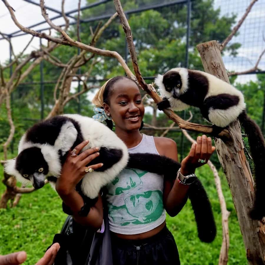 Kampala: Conservation Centre for Wildlife Guided Tour - Key highlights worth planning for