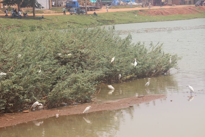 Kampala cultural tours - Palace area and Royal Mile: understanding Buganda’s royal world