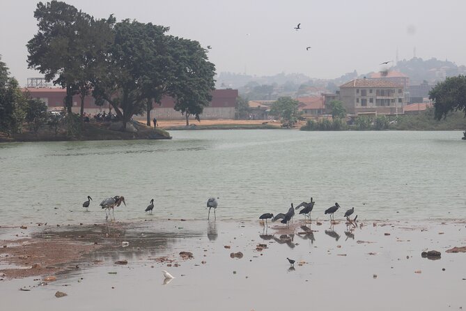 Kampala cultural tours - Torture Chambers and Kabaka’s Lake: history with weight