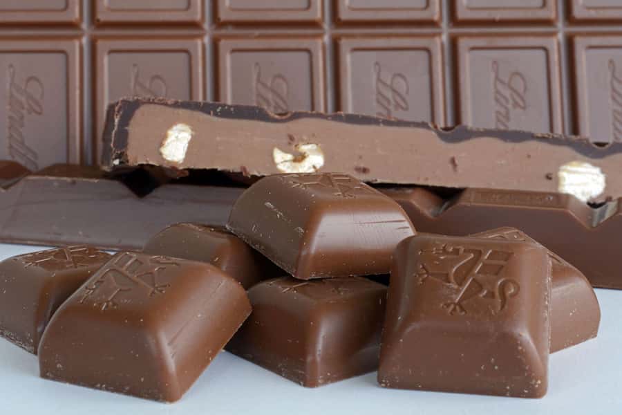 Kampala: Hands-On Chocolate Making Experience - Walking the Cocoa Garden: Learning by Looking at the Plant