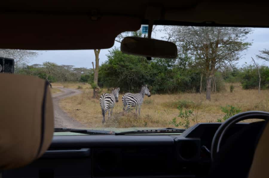 Lake Mburo National Park with Equator, Game Drive & Cruise - The Equator Stop: A Fun Photo Moment That’s Actually Worth It