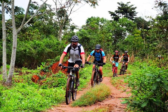 Lake Victoria Island Cycling Tour from Kampala - A Quick Pedal From Kampala to Another Lake Victoria World