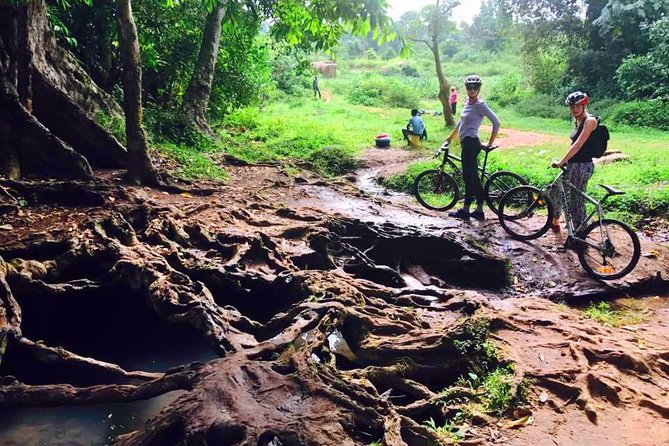 Lake Victoria Island Cycling Tour from Kampala - Value for $62.23: What You Actually Get