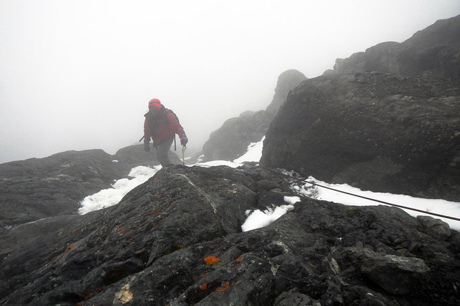 Mountain Rwenzori Trekking Uganda 9 Day Safari - Entering the Rwenzori: what makes this trek different
